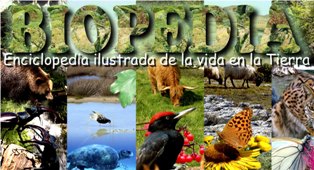 biodiversidad y biomas