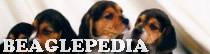 Beaglepedia