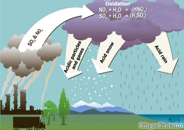 Lluvias ácidas | BIOPEDIA