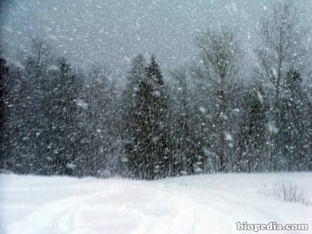 tormenta-nieve